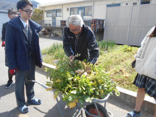 DSCN1387.JPG