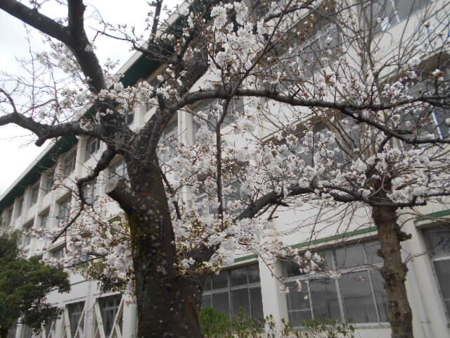 DSCN1442.JPG