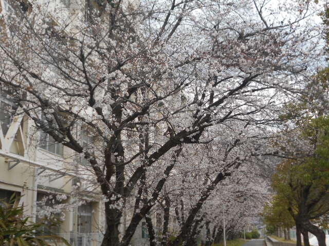 DSCN1445.JPG