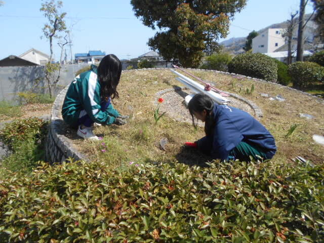 DSCN1530.JPG