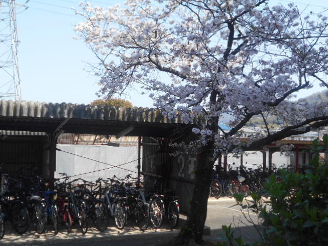 DSCN1546.JPG