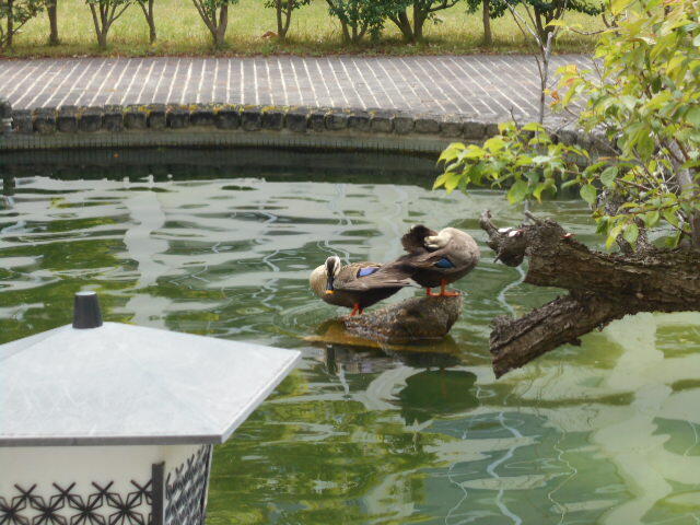 DSCN1570.JPG