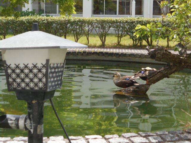 DSCN1572.JPG