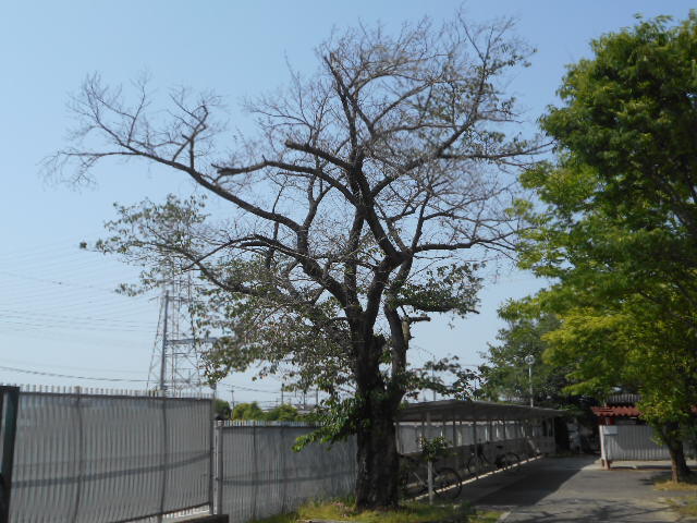 DSCN1763.JPG