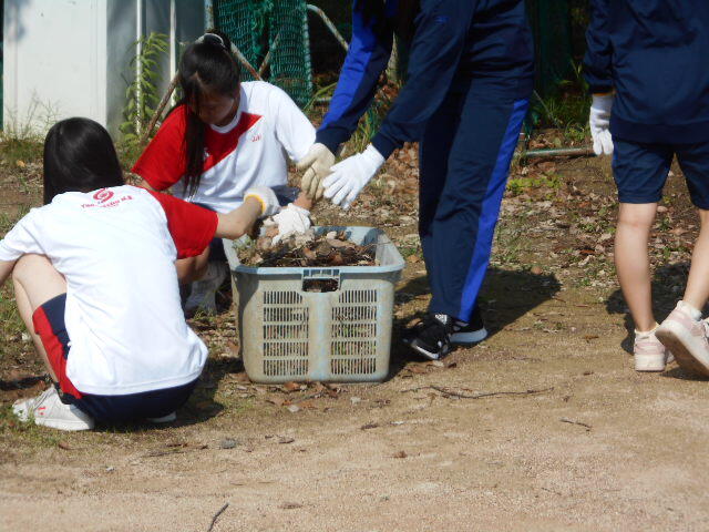 DSCN1909.JPG