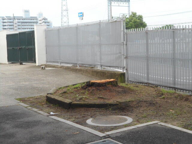 DSCN2062.JPG