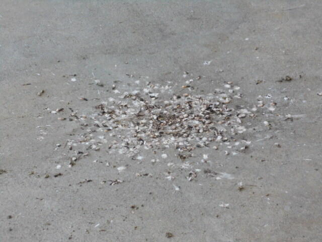 DSCN2070.JPG