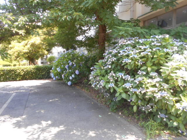 DSCN2075.JPG