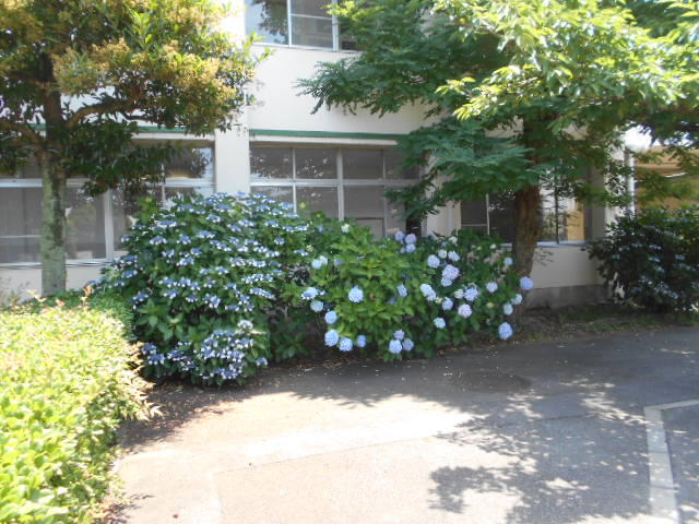 DSCN2076.JPG