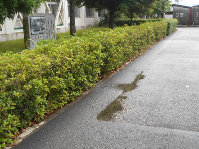 DSCN2176.JPG