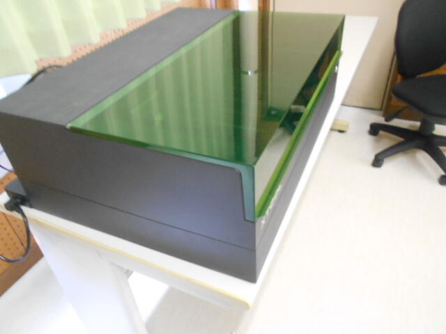 DSCN2606.JPG