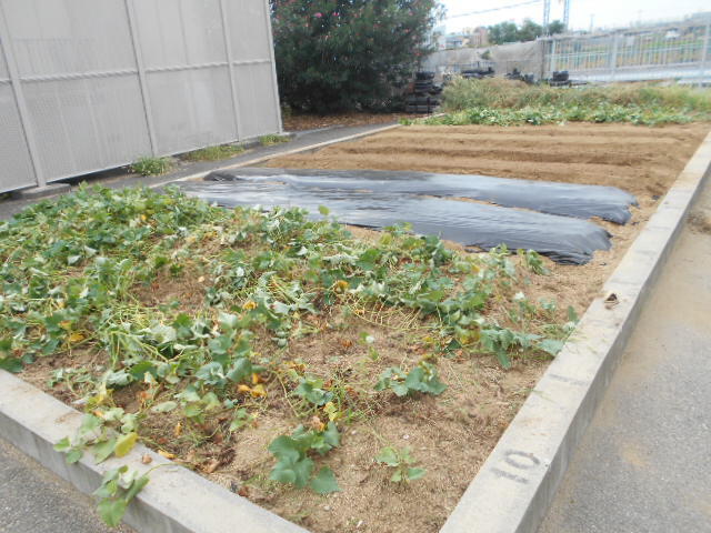 DSCN2751.JPG
