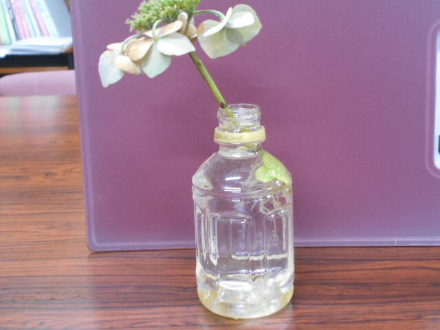 DSCN5502.JPG