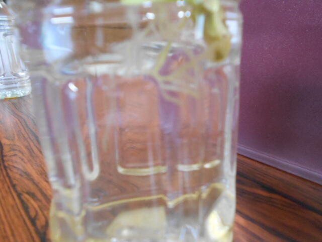 DSCN5503.JPG