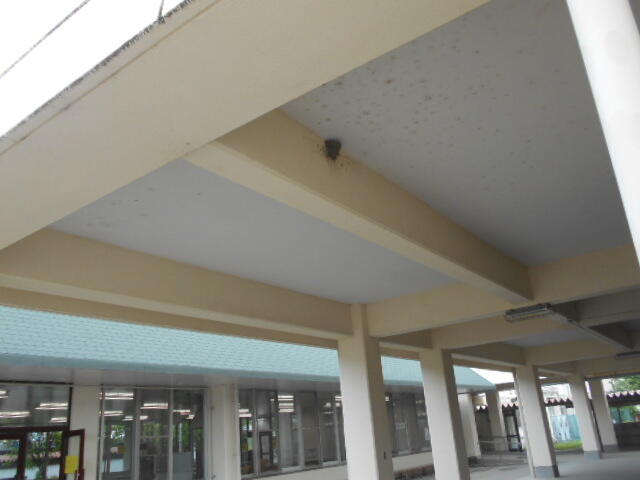 DSCN7262.JPG