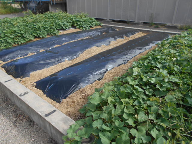 DSCN7832.JPG