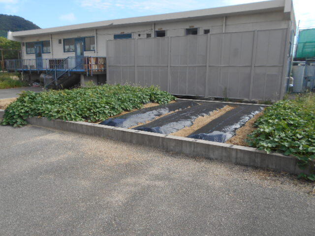 DSCN7833.JPG