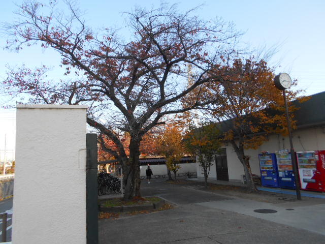 DSCN8221.JPG