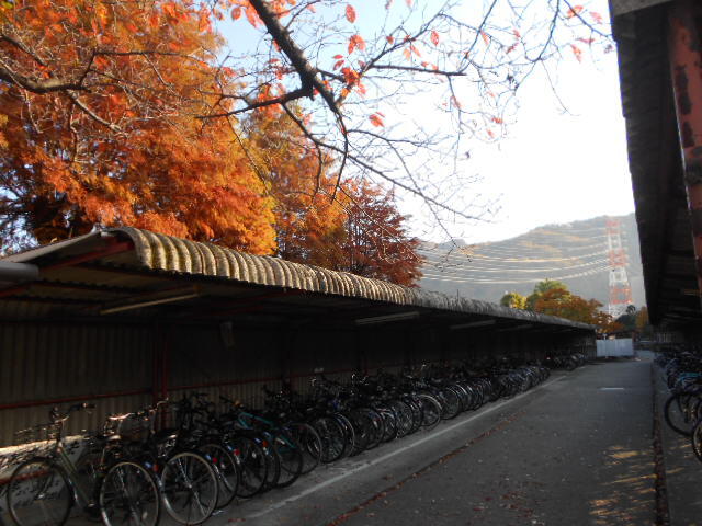 DSCN8223.JPG
