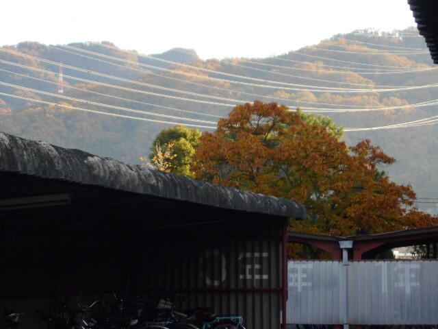 DSCN8227.JPG