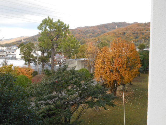 DSCN8235.JPG