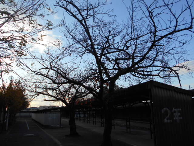 DSCN8243.JPG