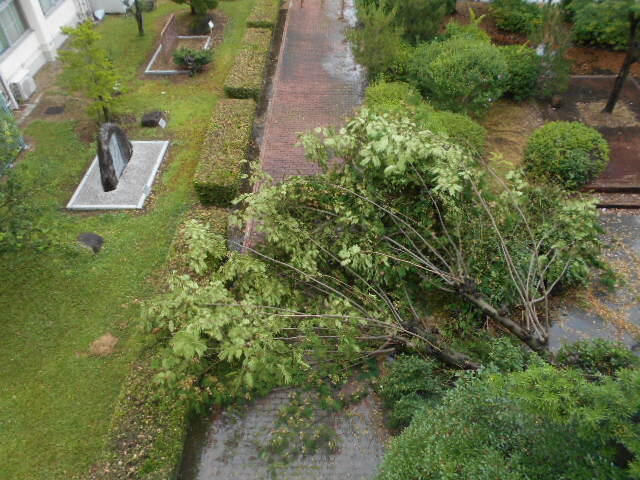 DSCN9442.JPG