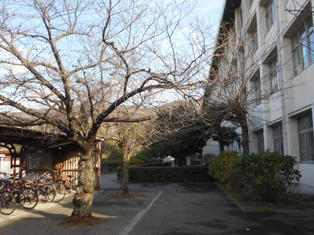 冬景色食堂周辺 (1).JPG