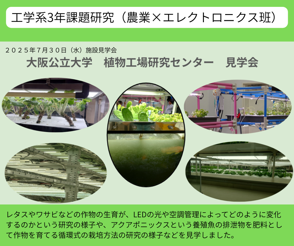 大阪公立大学植物工場研究センターの見学に参加しました！ - 淀工ブログ