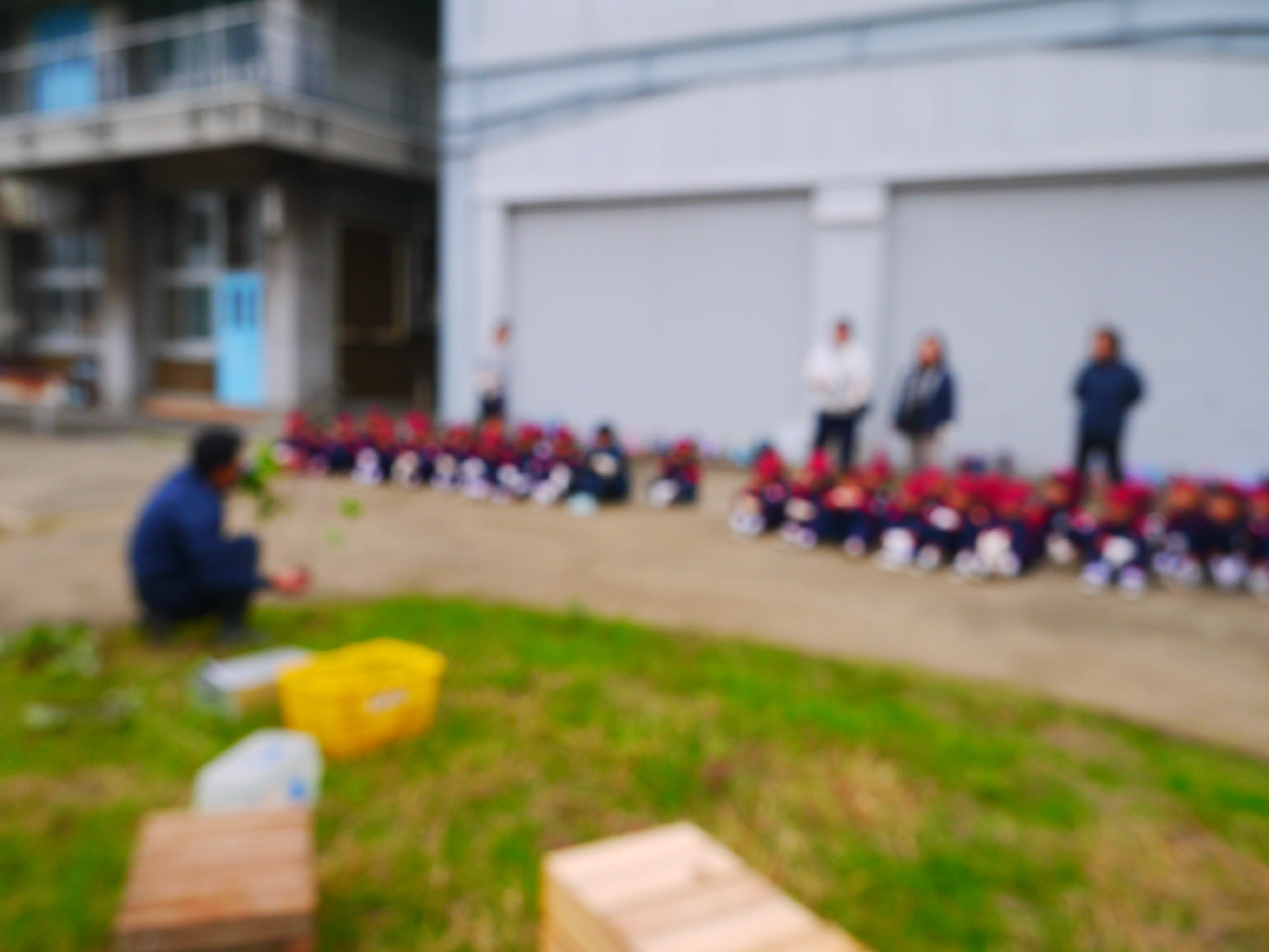 さつまいも