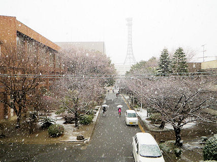 ̒A鐶k