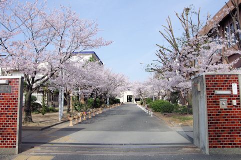 Zɂւ̓