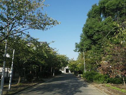 eȂĂt
