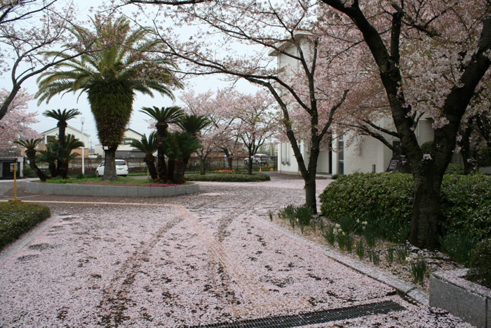 日根野高等学校画像