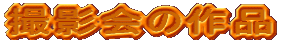 Be̍i