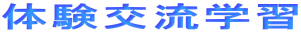 �̌��𗬊w�K 