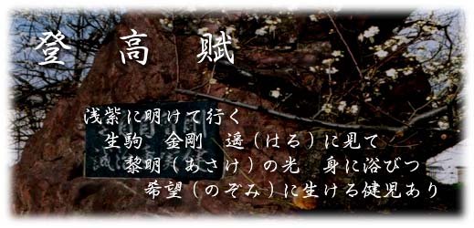 登 高 賦