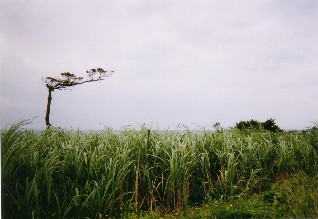 d_AǂƂ1ł