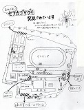 セアカゴケグモ１