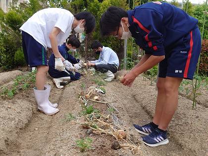 園芸環境部の写真