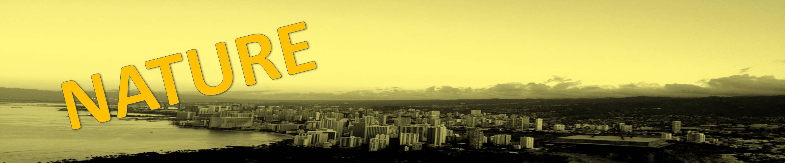 ڂ̐EIs`In Hawaii`