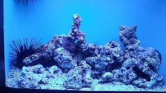 aquarium