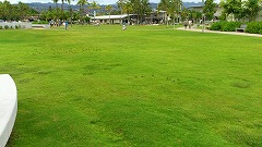 Pearl Harbor Historic Site