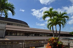 V̖؂ς in Hawaii 