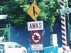 W