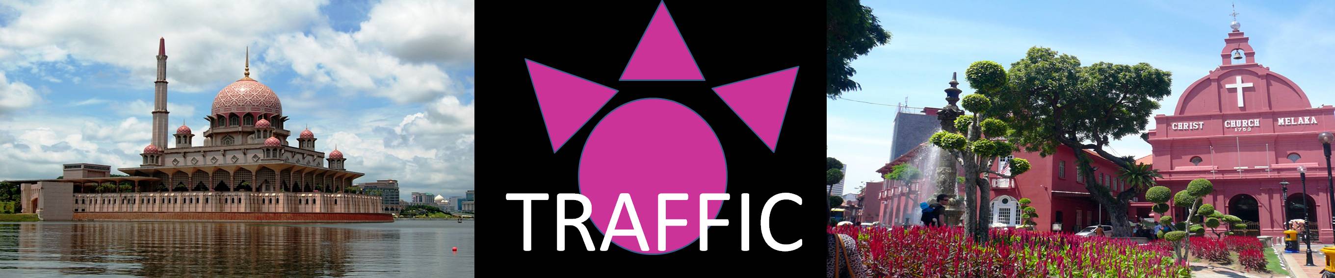 TRAFFIC