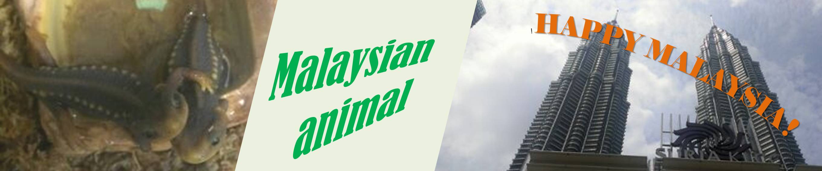 Malaysian animal