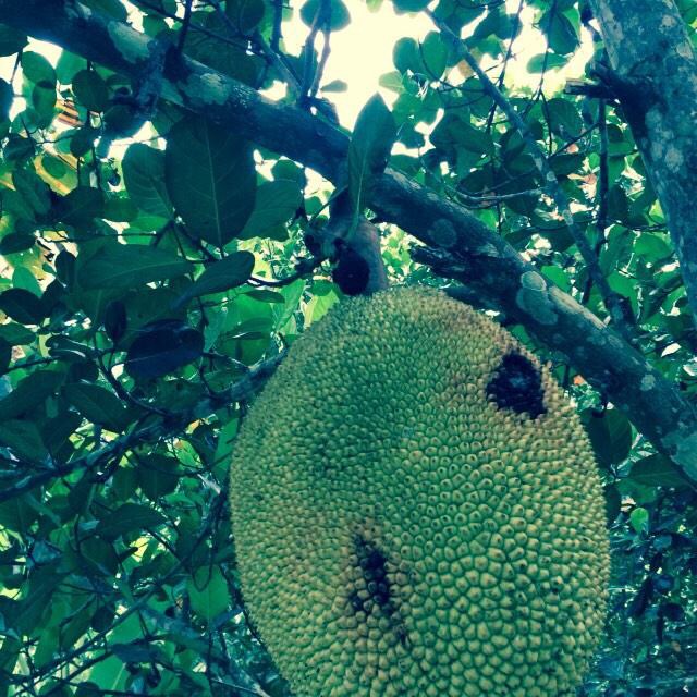 ςʕ
