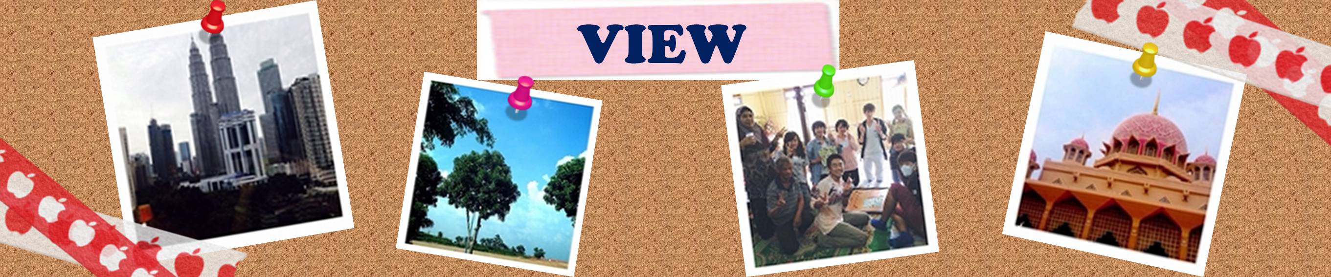 VIEW