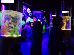 AQUARIUM
